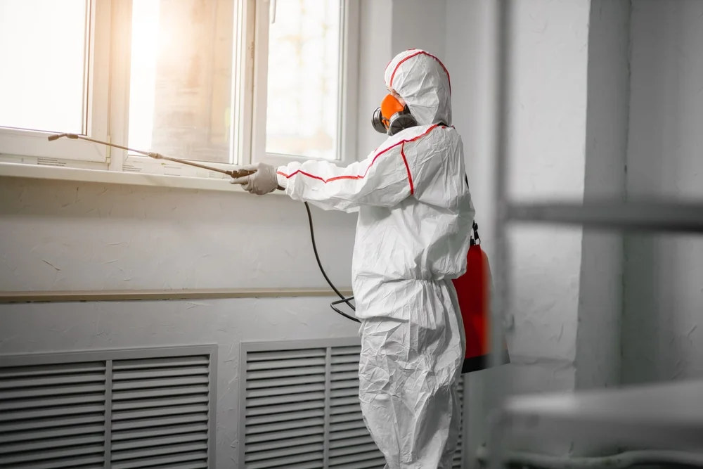 Professional mold remediation services in Vinalhaven, ME